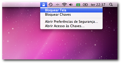 Icone de status do Acesso às Chaves